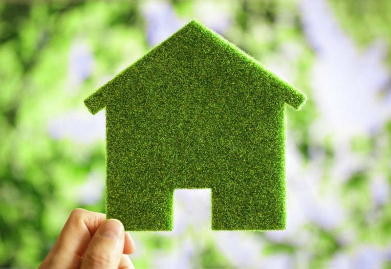 Green eco house environmental background